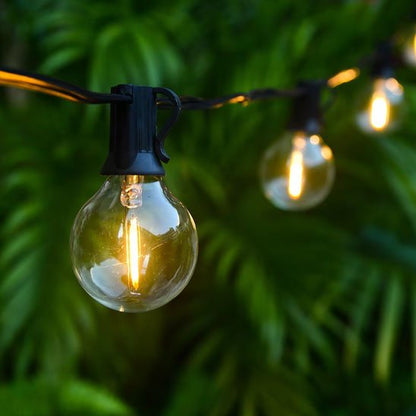 Guirlande guinguette solaire Musette solaire suspendue avec des plantes