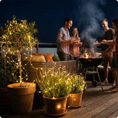 guirlande lumineuse exterieur Comète décorant une plante