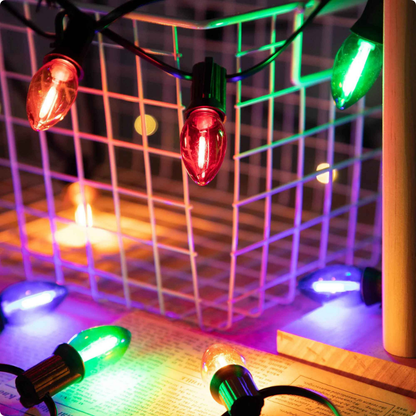 guirlande lumineuse extérieur Fiesta vue de près