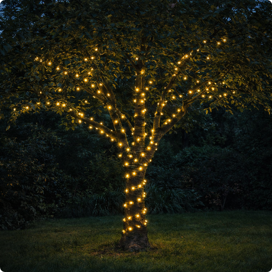 guirlande lumineuse solaire liane solaire enroulée autour d'un arbre