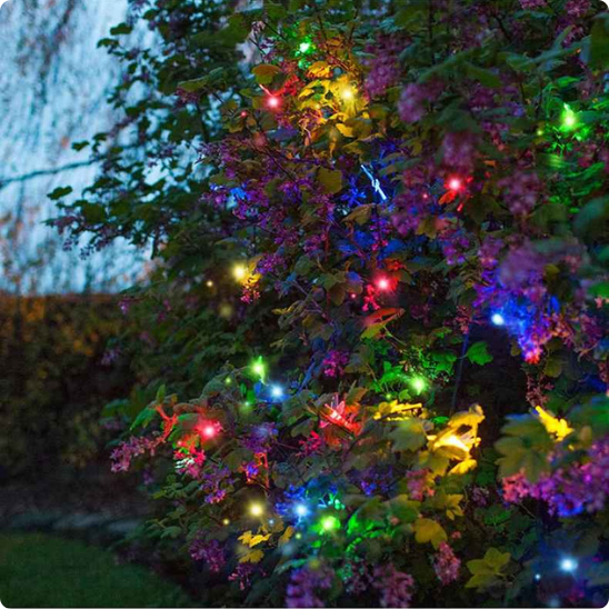 guirlande lumineuse solaire liane solaire multicolore décorant une plante