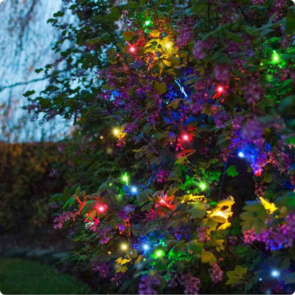 guirlande lumineuse solaire liane solaire multicolore décorant une plante