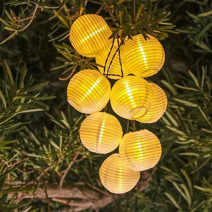 Guirlande solaire Lampion rassemblée dans un sapin
