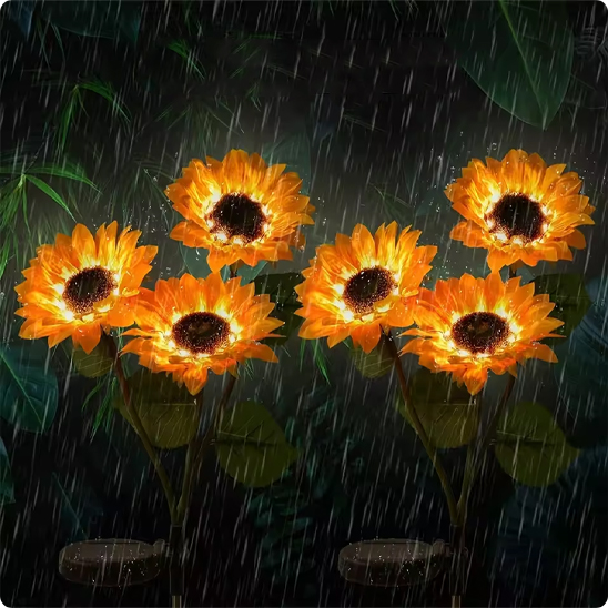 lumiere solaire exterieur Tournesol sous la pluie