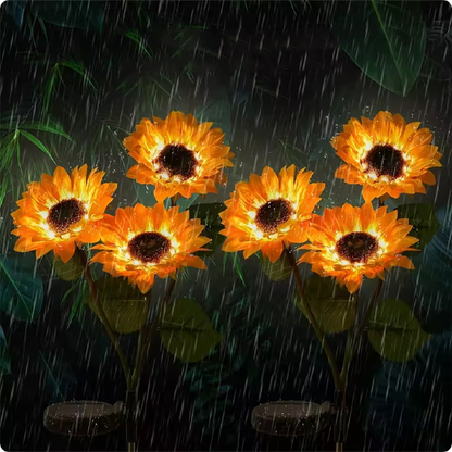 lumiere solaire exterieur Tournesol sous la pluie
