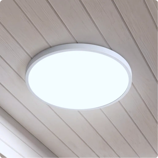 Plafonnier pour exterieur SlimLed blanc froid vu de près