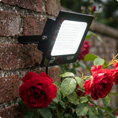 Projecteur led CompactLed éclairant des roses