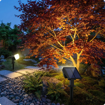 Projecteur led solaire Sham mettant un arbre en valeur