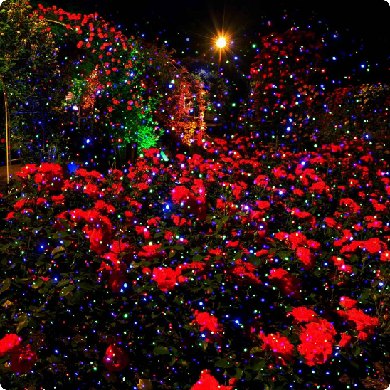 Projecteur Noel Lucioles éclairant un jardin