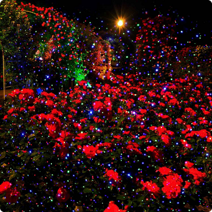 Projecteur Noel Lucioles éclairant un jardin